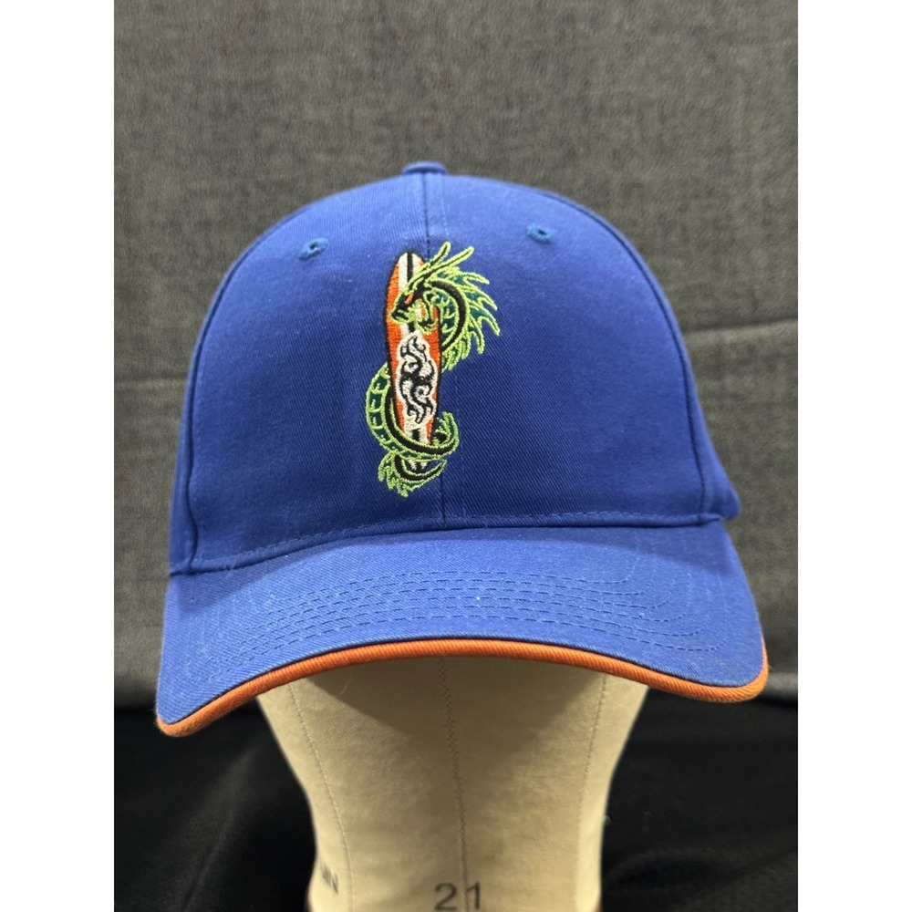 Disney Baseball Cap Boys One Size Blue Dragon Print Adjustable Strap Comfort Hat